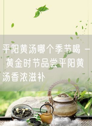 平阳黄汤哪个季节喝 - 黄金时节品尝平阳黄汤香浓滋补