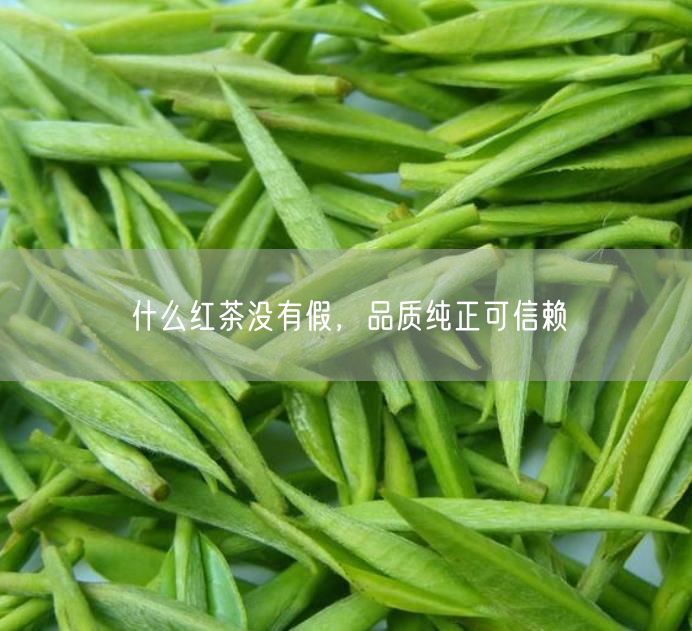 什么红茶没有假，品质纯正可信赖