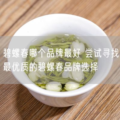 碧螺春哪个品牌最好 尝试寻找最优质的碧螺春品牌选择