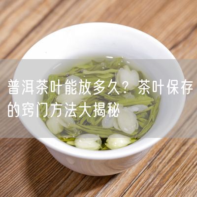 普洱茶叶能放多久？茶叶保存的窍门方法大揭秘