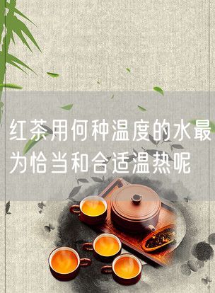 红茶用何种温度的水最为恰当和合适温热呢