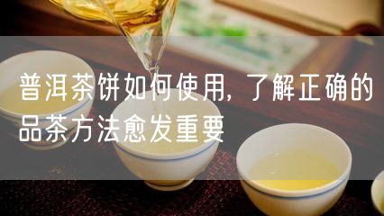 普洱茶饼如何使用, 了解正确的品茶方法愈发重要