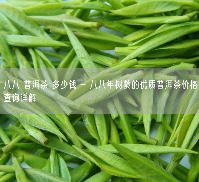 八八 普洱茶 多少钱 - 八八年树龄的优质普洱茶价格查询详解