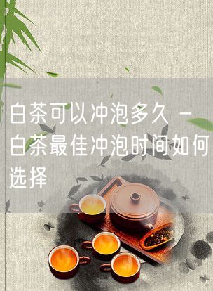 白茶可以冲泡多久 - 白茶最佳冲泡时间如何选择