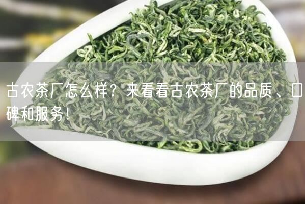 古农茶厂怎么样？来看看古农茶厂的品质、口碑和服务！