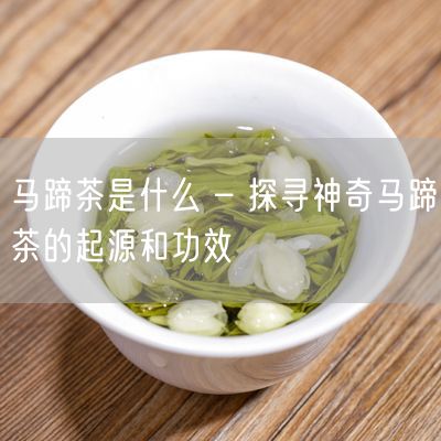 马蹄茶是什么 – 探寻神奇马蹄茶的起源和功效