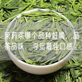 茉莉茶哪个品种好喝，品茶品味，寻觅最佳口感。