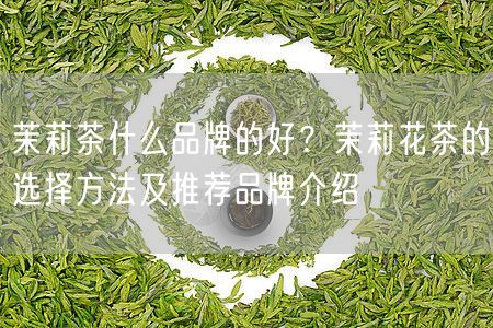 茉莉茶什么品牌的好？茉莉花茶的选择方法及推荐品牌介绍