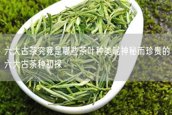 六大古茶究竟是哪些茶叶种类呢神秘而珍贵的六大古茶种初探