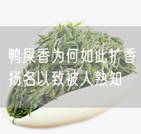 鸭屎香为何如此扩香扬名以致被人熟知