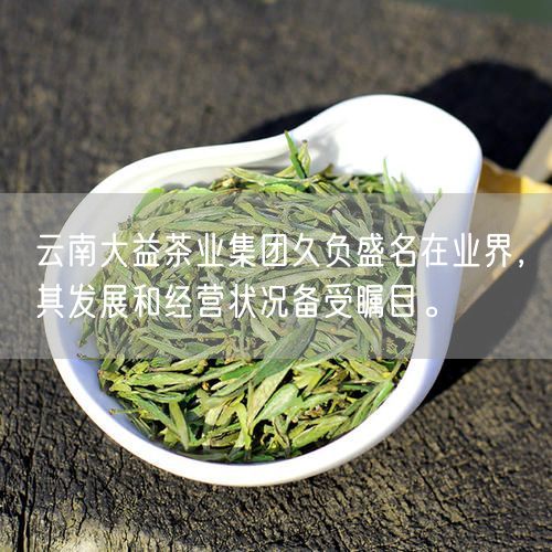 云南大益茶业集团久负盛名在业界，其发展和经营状况备受瞩目。