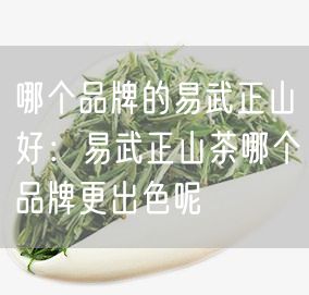 哪个品牌的易武正山好：易武正山茶哪个品牌更出色呢