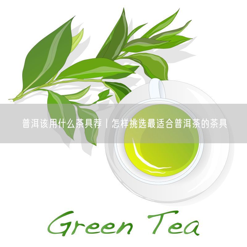 普洱该用什么茶具荐丨怎样挑选最适合普洱茶的茶具