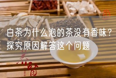 白茶为什么泡的茶没有香味？探究原因解答这个问题