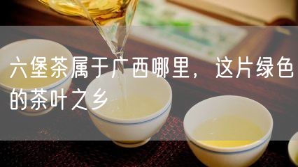 六堡茶属于广西哪里，这片绿色的茶叶之乡