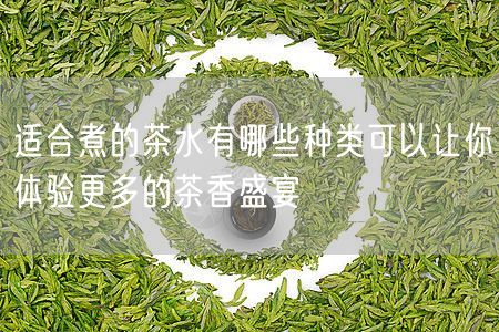 适合煮的茶水有哪些种类可以让你体验更多的茶香盛宴