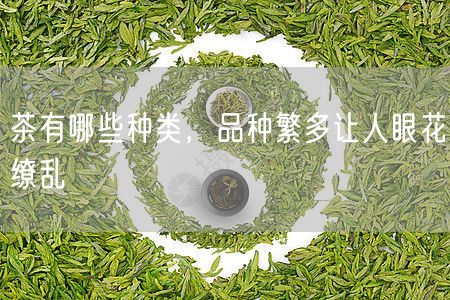 茶有哪些种类，品种繁多让人眼花缭乱