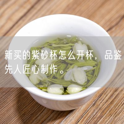 新买的紫砂杯怎么开杯，品鉴先人匠心制作。