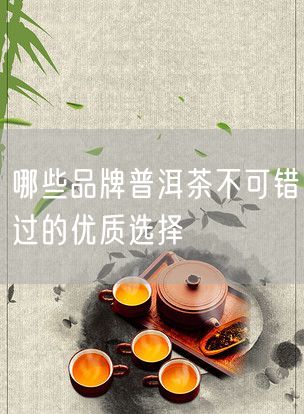 哪些品牌普洱茶不可错过的优质选择