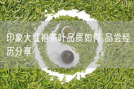 印象大红袍茶叶品质如何 品尝经历分享