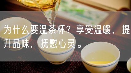 为什么要温茶杯？享受温暖，提升品味，抚慰心灵。