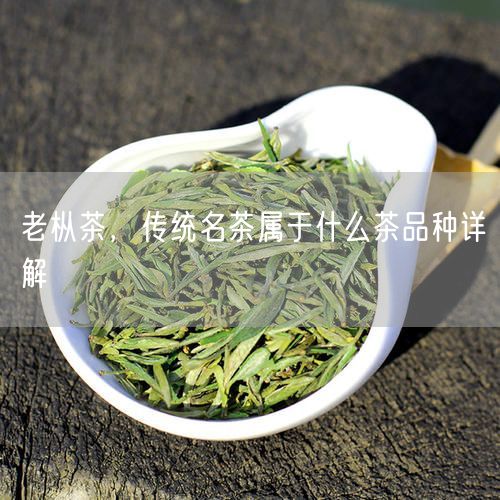 老枞茶，传统名茶属于什么茶品种详解