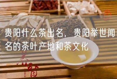 贵阳什么茶出名，贵阳举世闻名的茶叶产地和茶文化