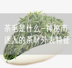 茶毛是什么-神秘而迷人的茶叶外表特征