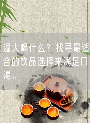 湿大喝什么？找寻最适合的饮品选择来满足口渴。