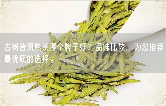 古树普洱熟茶哪个牌子好？品味比较，为您推荐最优质的选择。