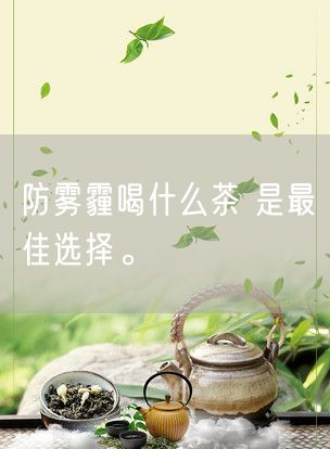 防雾霾喝什么茶 是最佳选择。