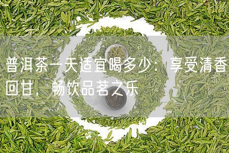 普洱茶一天适宜喝多少：享受清香回甘，畅饮品茗之乐