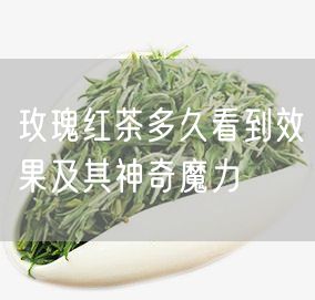 玫瑰红茶多久看到效果及其神奇魔力