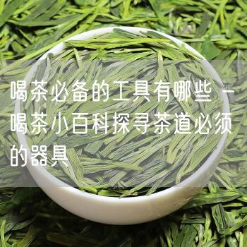 喝茶必备的工具有哪些 - 喝茶小百科探寻茶道必须的器具