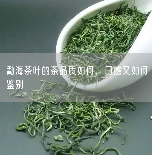 勐海茶叶的茶品质如何，口感又如何鉴别