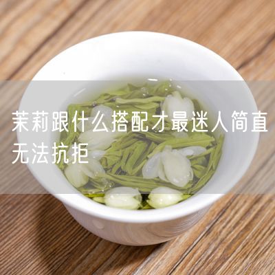 茉莉跟什么搭配才最迷人简直无法抗拒