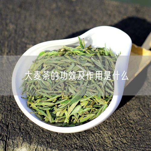 大麦茶的功效及作用是什么