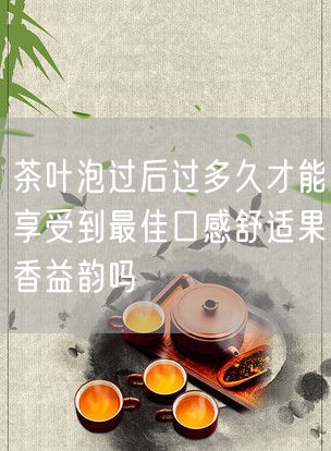 茶叶泡过后过多久才能享受到最佳口感舒适果香益韵吗