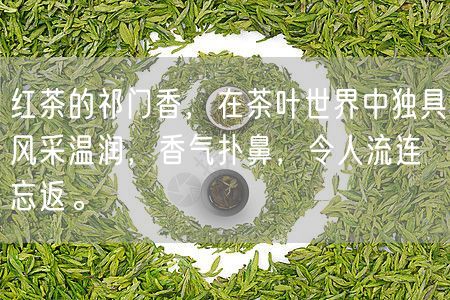 红茶的祁门香，在茶叶世界中独具风采温润，香气扑鼻，令人流连忘返。