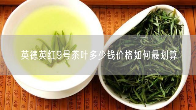 英德英红9号茶叶多少钱价格如何最划算