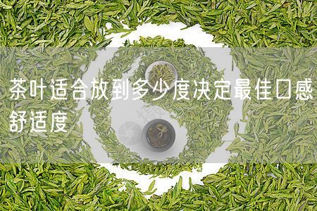 茶叶适合放到多少度决定最佳口感舒适度