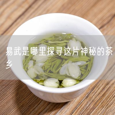 易武是哪里探寻这片神秘的茶乡