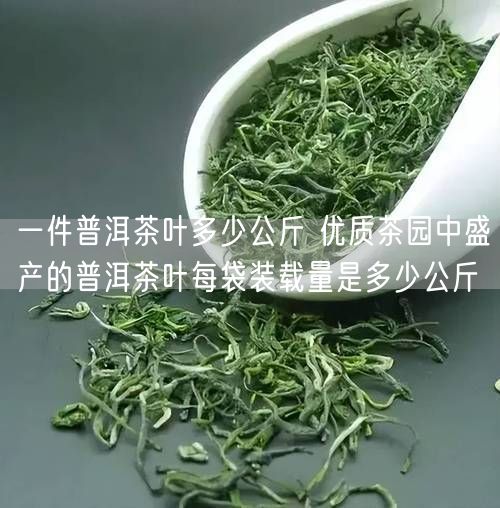 一件普洱茶叶多少公斤 优质茶园中盛产的普洱茶叶每袋装载量是多少公斤