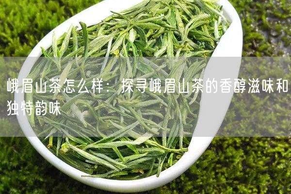 峨眉山茶怎么样：探寻峨眉山茶的香醇滋味和独特韵味