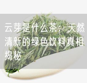 云芽是什么茶：天然清新的绿色饮料真相揭秘