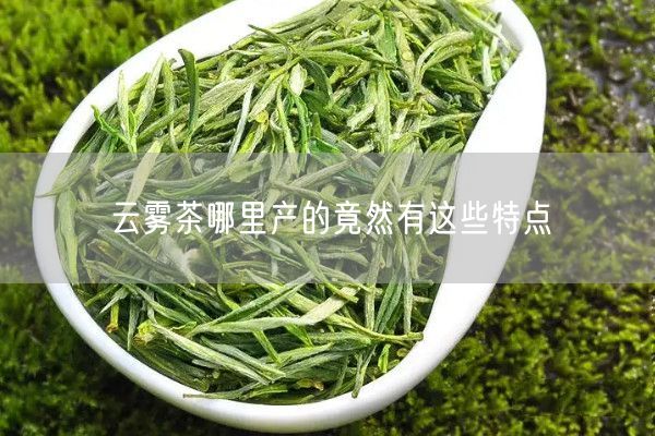 云雾茶哪里产的竟然有这些特点