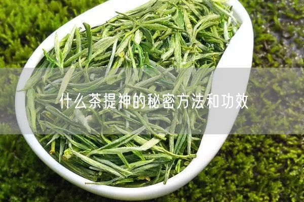 什么茶提神的秘密方法和功效