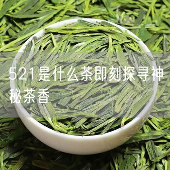 521是什么茶即刻探寻神秘茶香