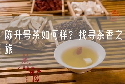 陈升号茶如何样？找寻茶香之旅