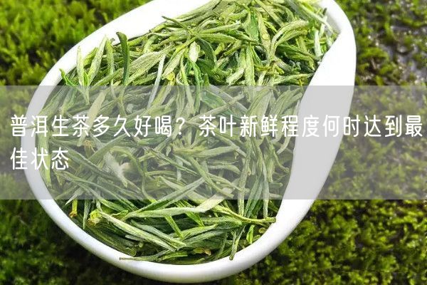 普洱生茶多久好喝？茶叶新鲜程度何时达到最佳状态